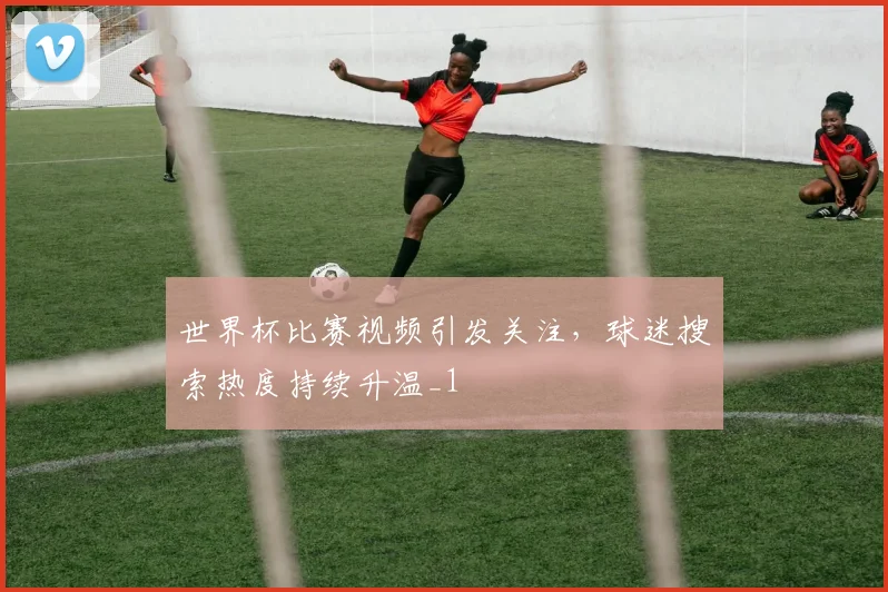 世界杯比赛视频引发关注,球迷搜索热度持续升温_1